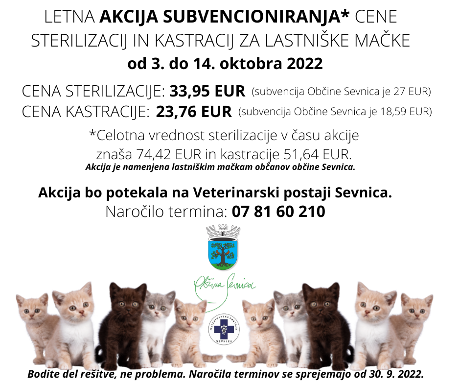 AKCIJA SUBVENCIONIRANJA CENE STERILIZACIJ IN KASTRACIJ ZA LASTNIŠKE MAČKE_OKT 2022