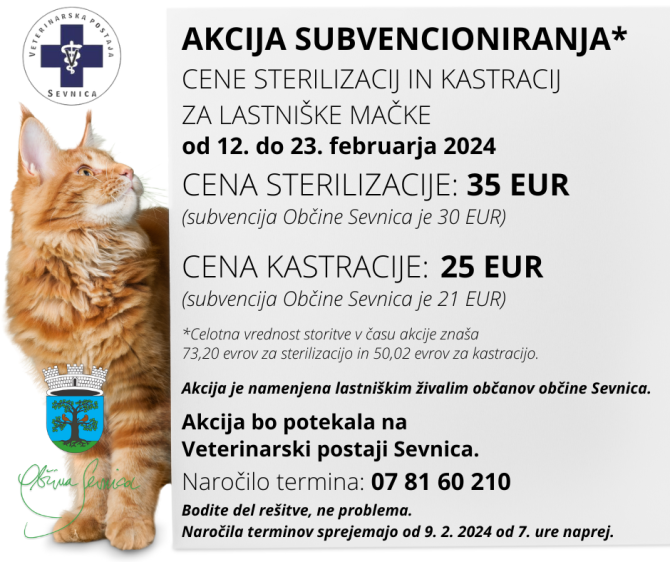 Akcija sofinanciranja sterilizacij in kastracij za lastniške mačke v februarju 2024