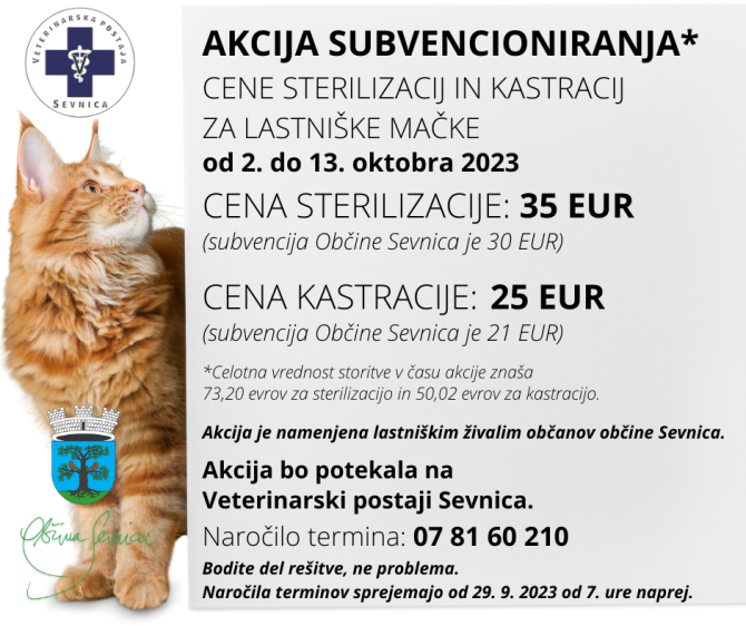 Akcija sub sterl in kastr mačk_OKTOBER 2023