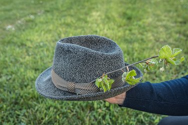 Jurjev klobuk