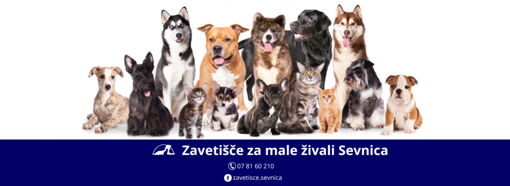 Zavetišče za male živali Sevnica