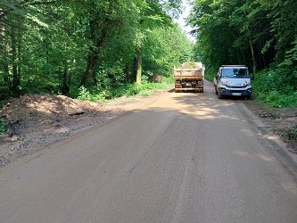 odstranjevanje posledic neurja_Šentjanž_06062023-03.jpg