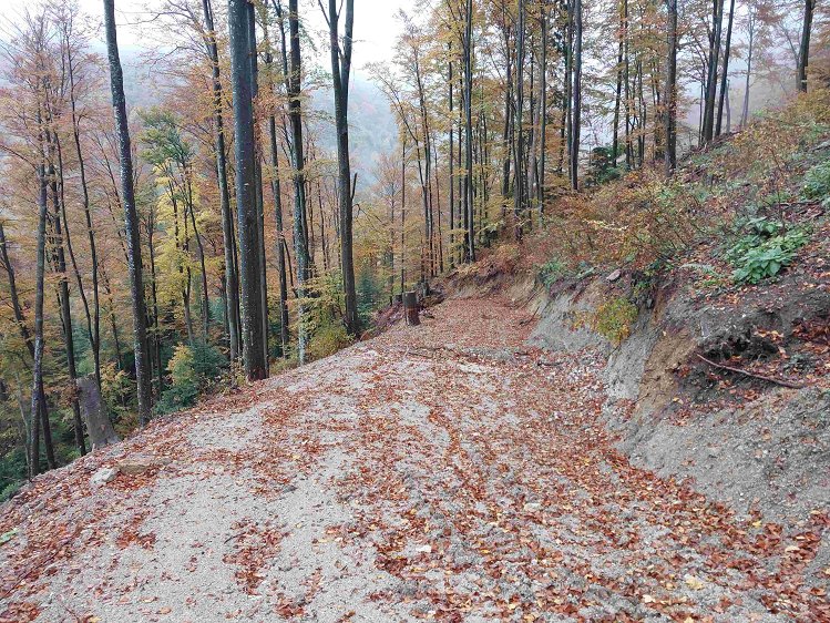 projekt Gradnja gozdne vlake